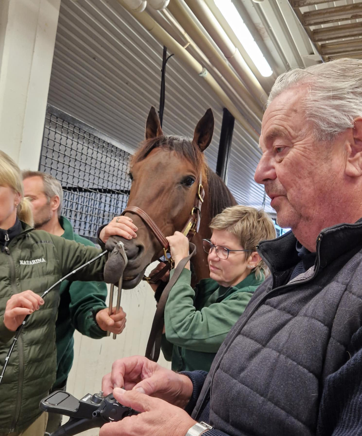 Great Ruler halsundersökning